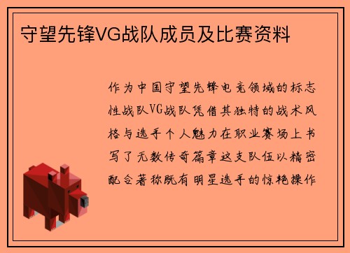 守望先锋VG战队成员及比赛资料